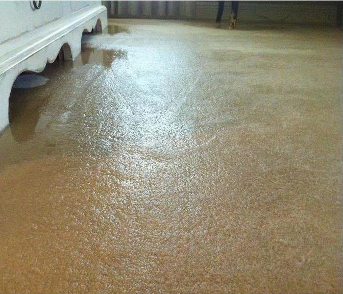 Carpet Soaked With Water