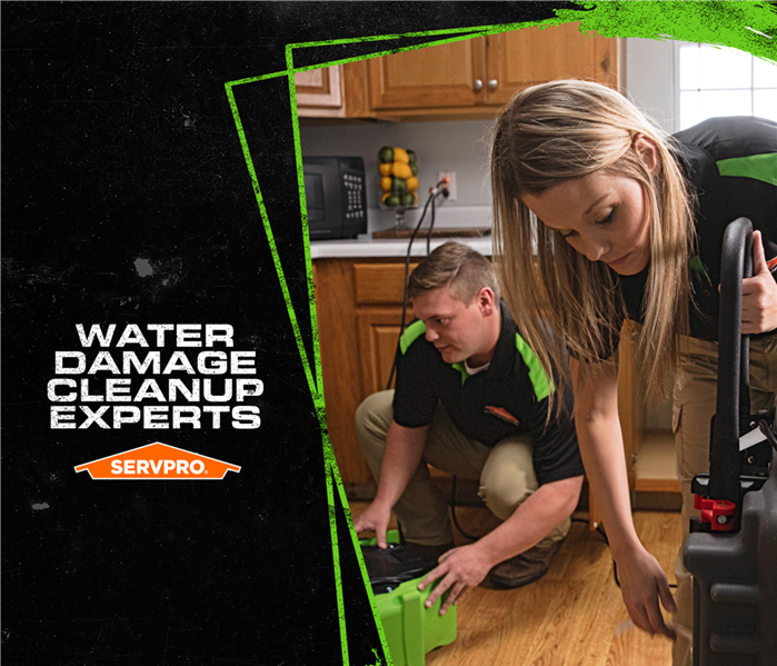 servpro poster, water damage experts